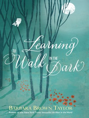 cover image of Learning to Walk in the Dark